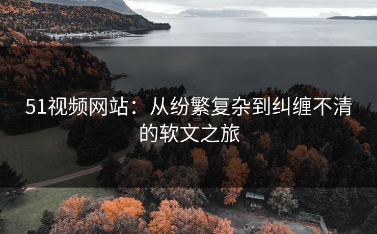 51视频网站：从纷繁复杂到纠缠不清的软文之旅