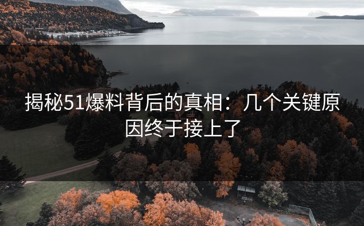 揭秘51爆料背后的真相：几个关键原因终于接上了