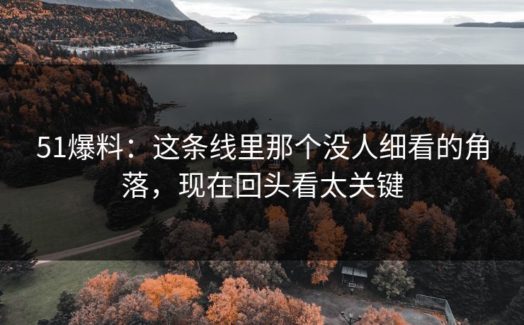 51爆料：这条线里那个没人细看的角落，现在回头看太关键