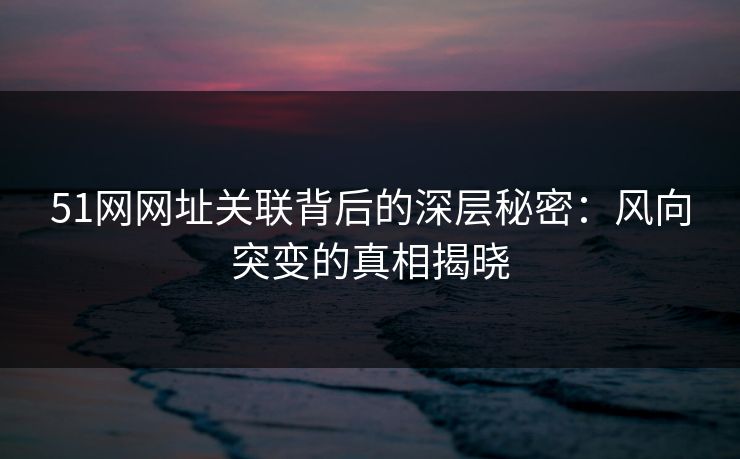 51网网址关联背后的深层秘密：风向突变的真相揭晓