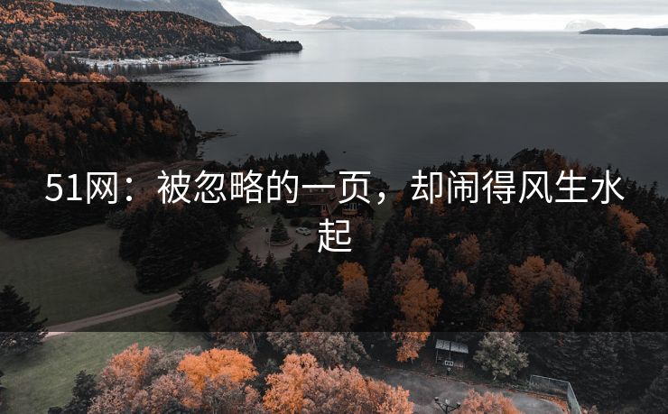 51网：被忽略的一页，却闹得风生水起