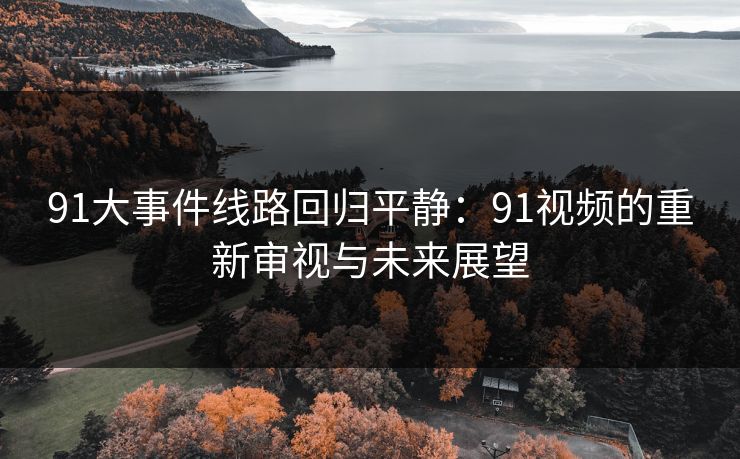 91大事件线路回归平静：91视频的重新审视与未来展望