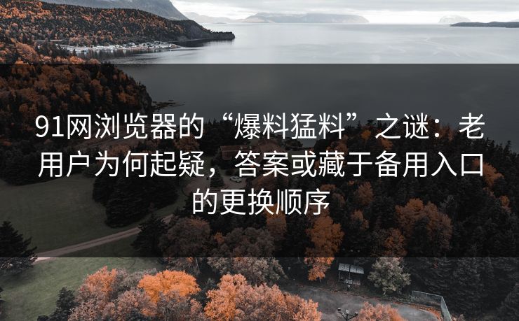 91网浏览器的“爆料猛料”之谜：老用户为何起疑，答案或藏于备用入口的更换顺序